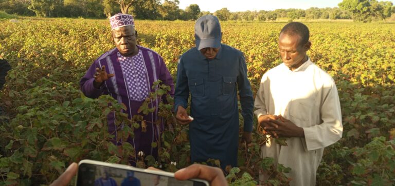 Vélingara : La visite du ministre de l’agriculture Aly Ngouye Ndiaye dans la zone cotonnière de Wadiatoullaye ce dimanche 09 octobre 2022