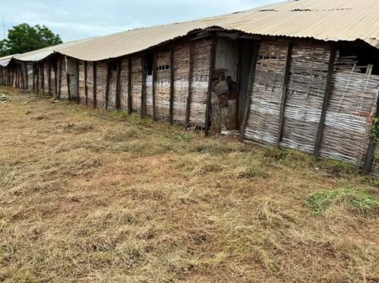 Chaque rentrée scolaire est une occasion pour les acteurs de la communauté éducative de faire un plaidoyer pour la construction du lycée de Marsassoum. L’établissement dispose de 33 salles de classe dont les 22 sont en abris provisoires