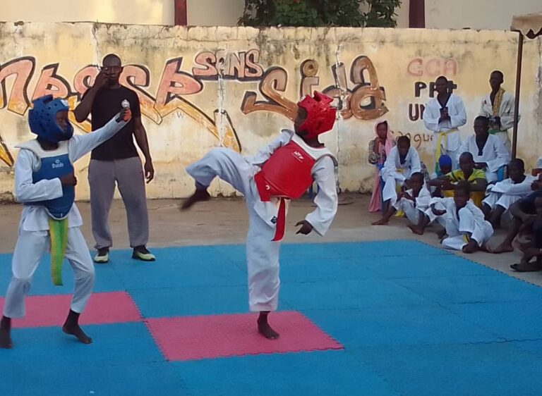 Sport : Tournoi de passage de grade : le club taekwondo Team Diao de Kolda s’illustre