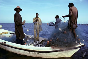 LA PROTECTION DES FLEUVES CONTRE LA PÊCHE ILLÉGALE  . . .