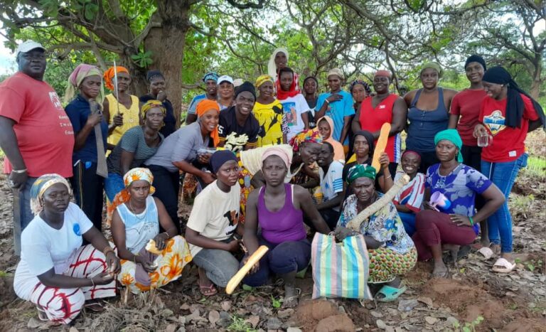 GOUDOMP : LES JEUNES PATRIOTES DU SÉNÉGAL (JPS)SE MOBILISENT . . .