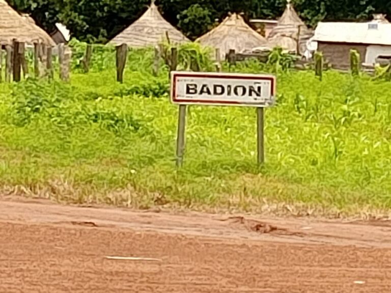 MEDIN YORO FOULAH : Aménagement du Massif forestier de la commune de BADION, les populations s’impatientent 